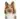 dog image
