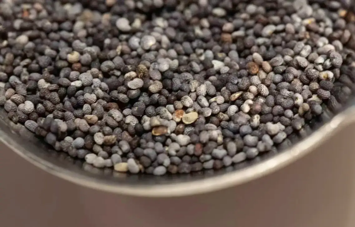 kumpulan chia seed di dalam satu mangkok